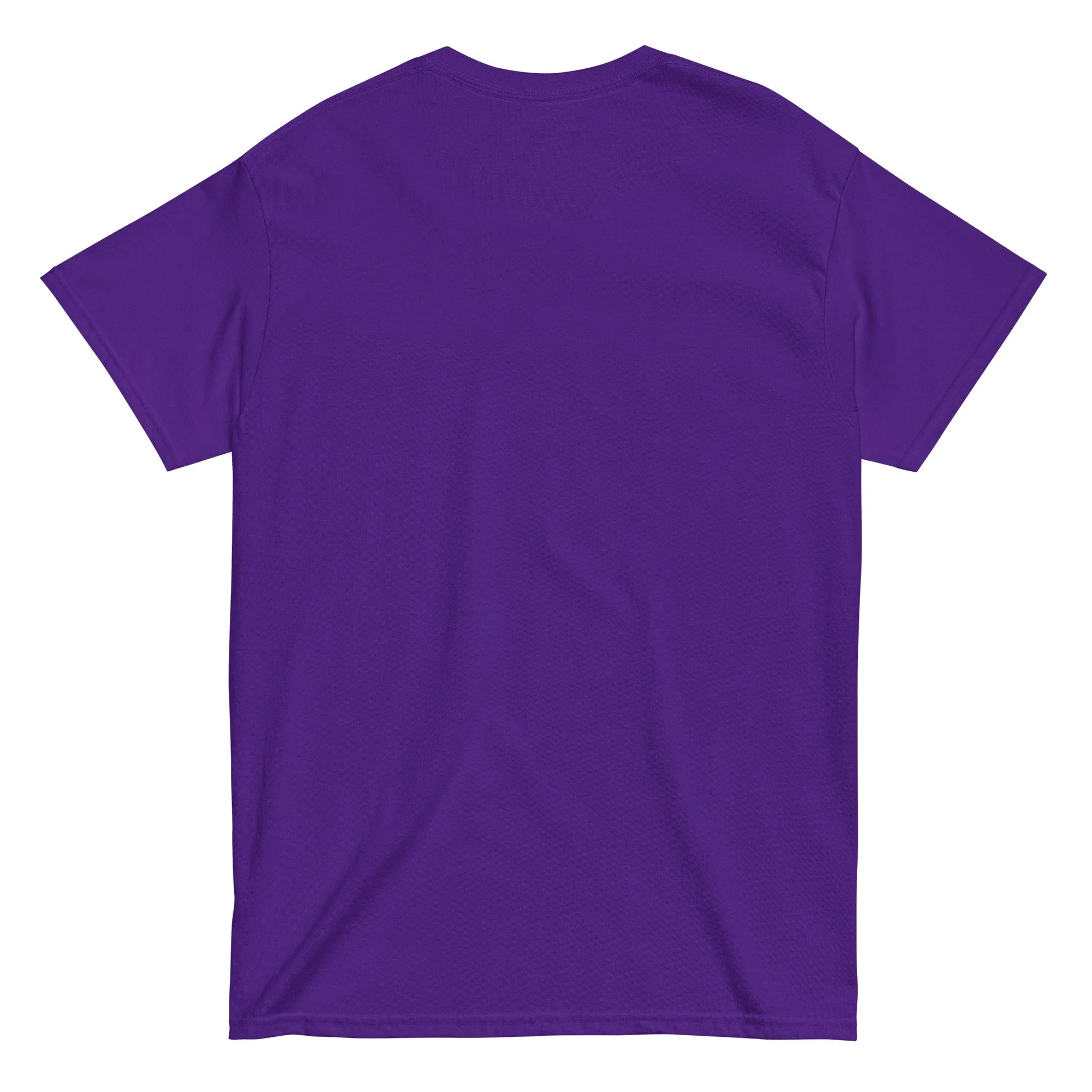 unisex-classic-tee-purple-back-66e1b19f02412.jpg