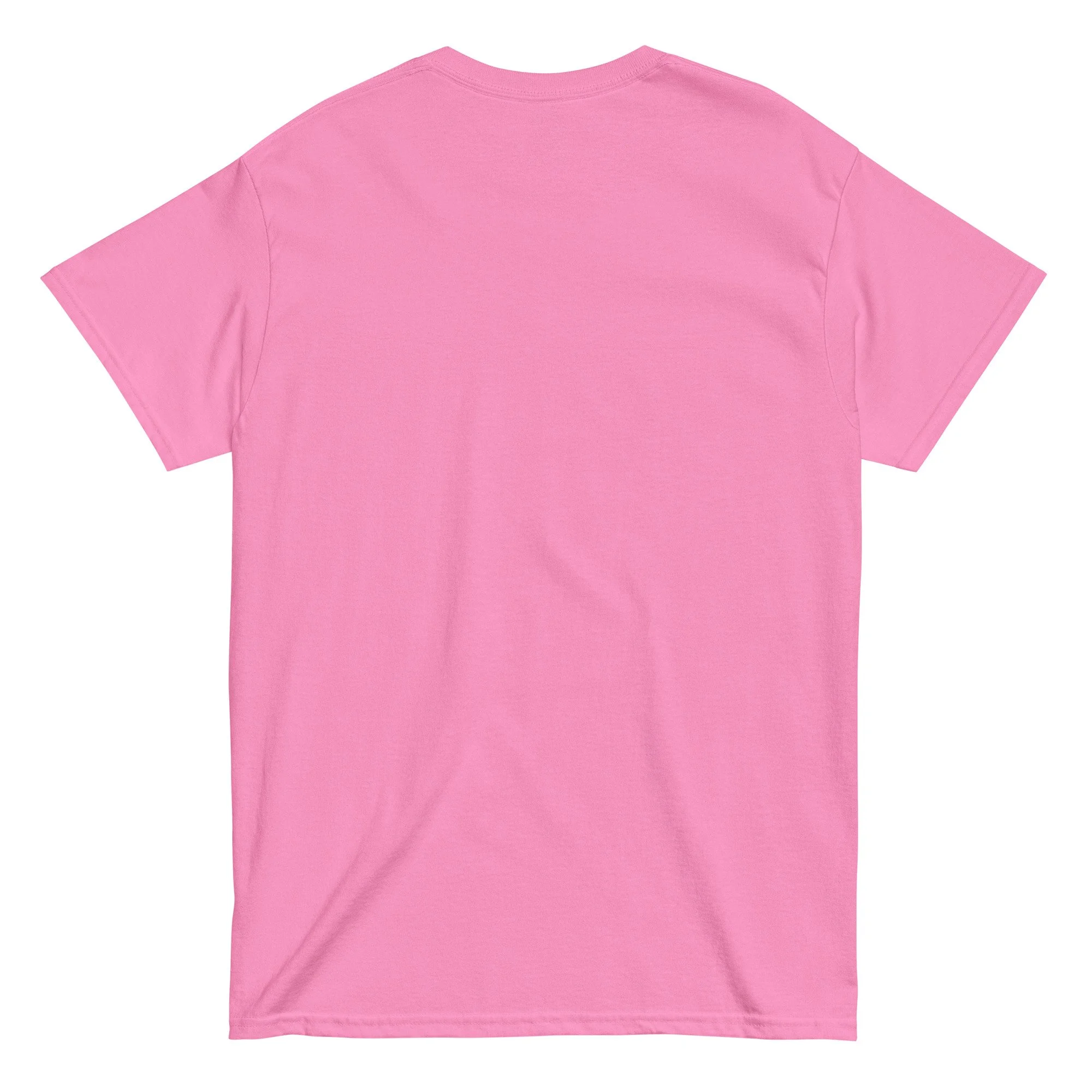 unisex-classic-tee-azalea-back-66e1b19fc4e80.jpg