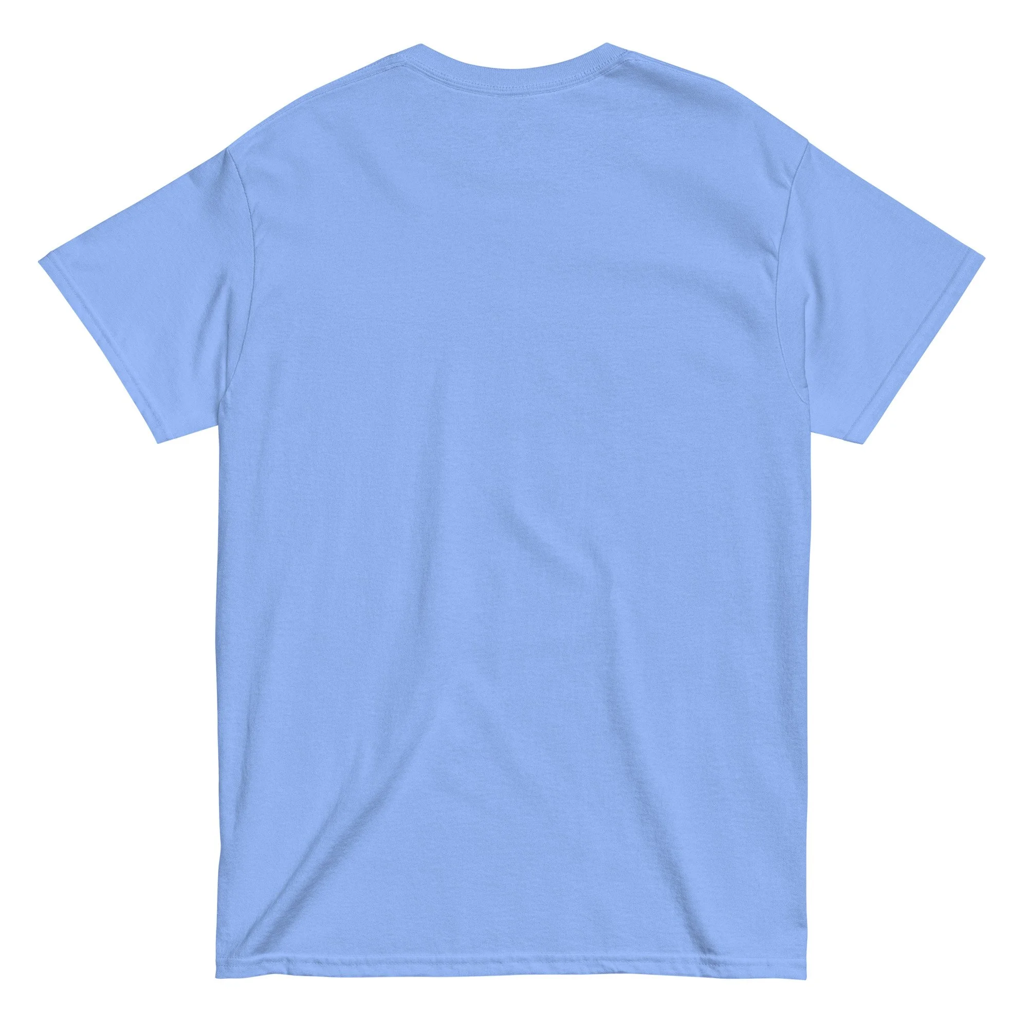 unisex-classic-tee-carolina-blue-back-66e1b1a000ff0.jpg