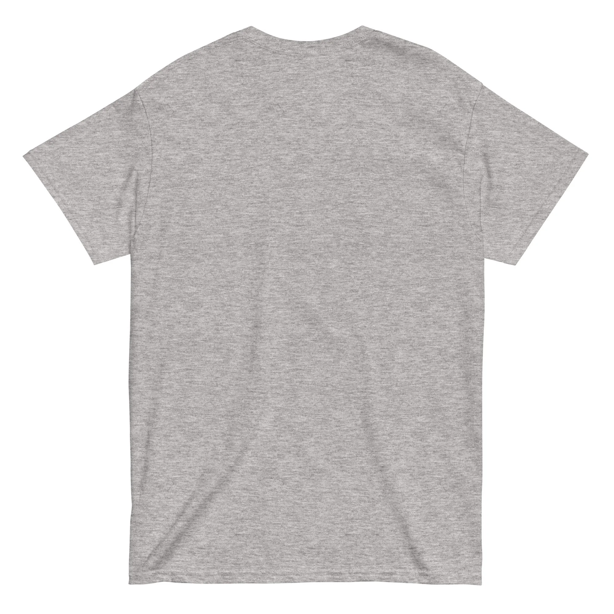 unisex-classic-tee-sport-grey-back-66e1b1a062279.jpg