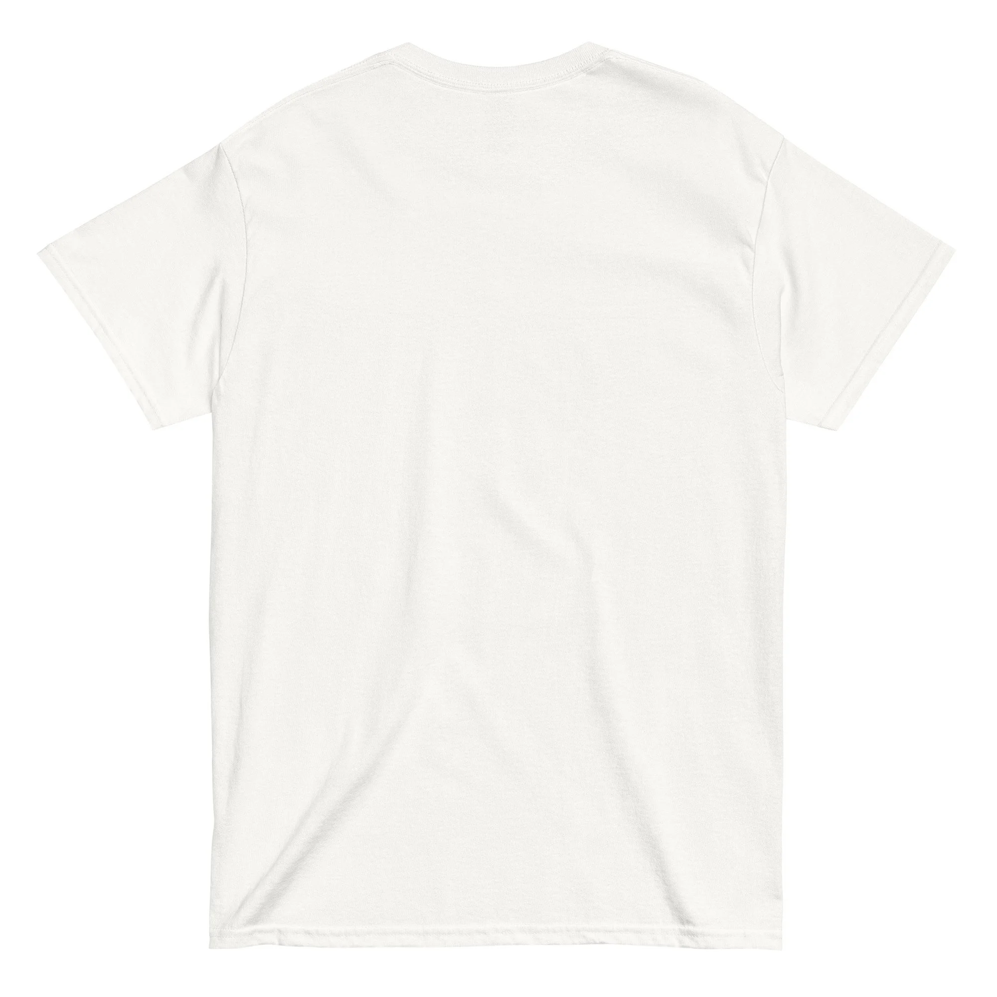 unisex-classic-tee-white-back-66e1b1a09eea0.jpg
