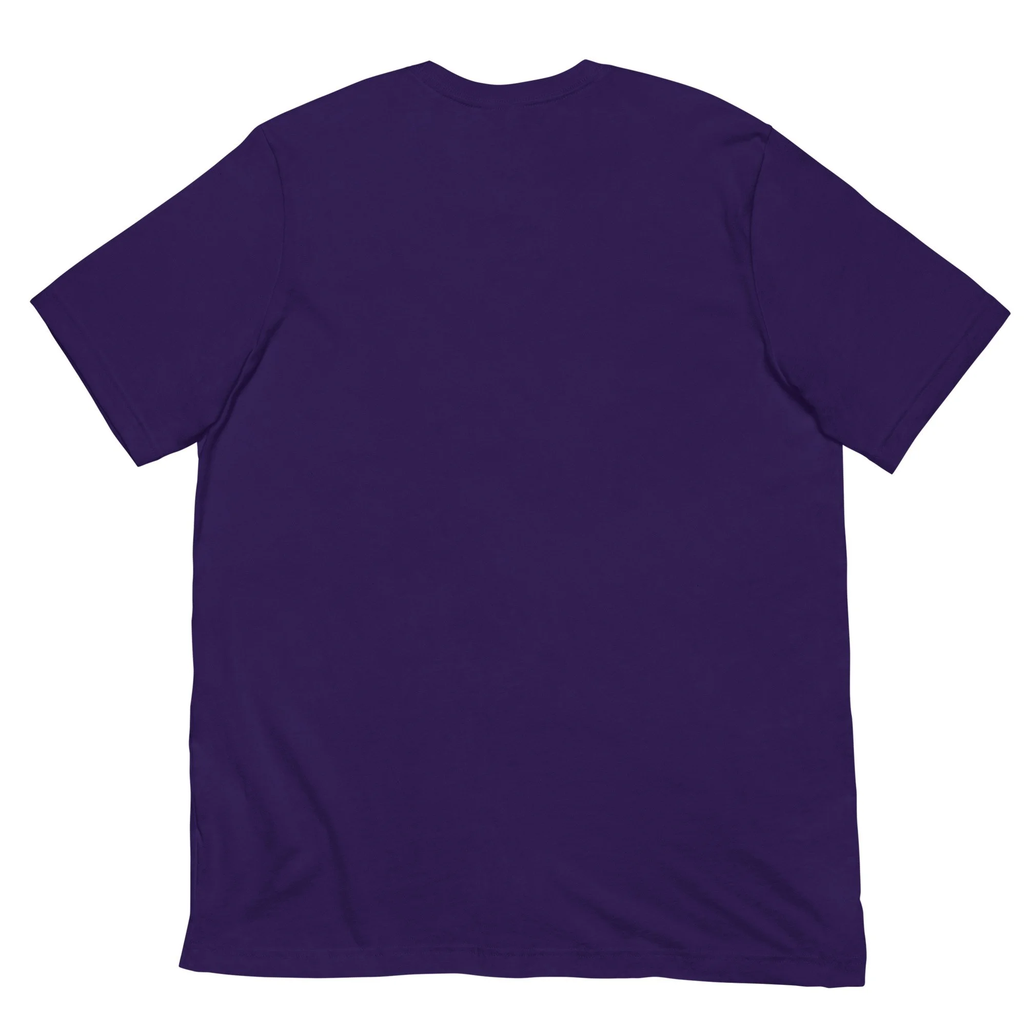 unisex-staple-t-shirt-team-purple-back-677ff8f52b65f.jpg