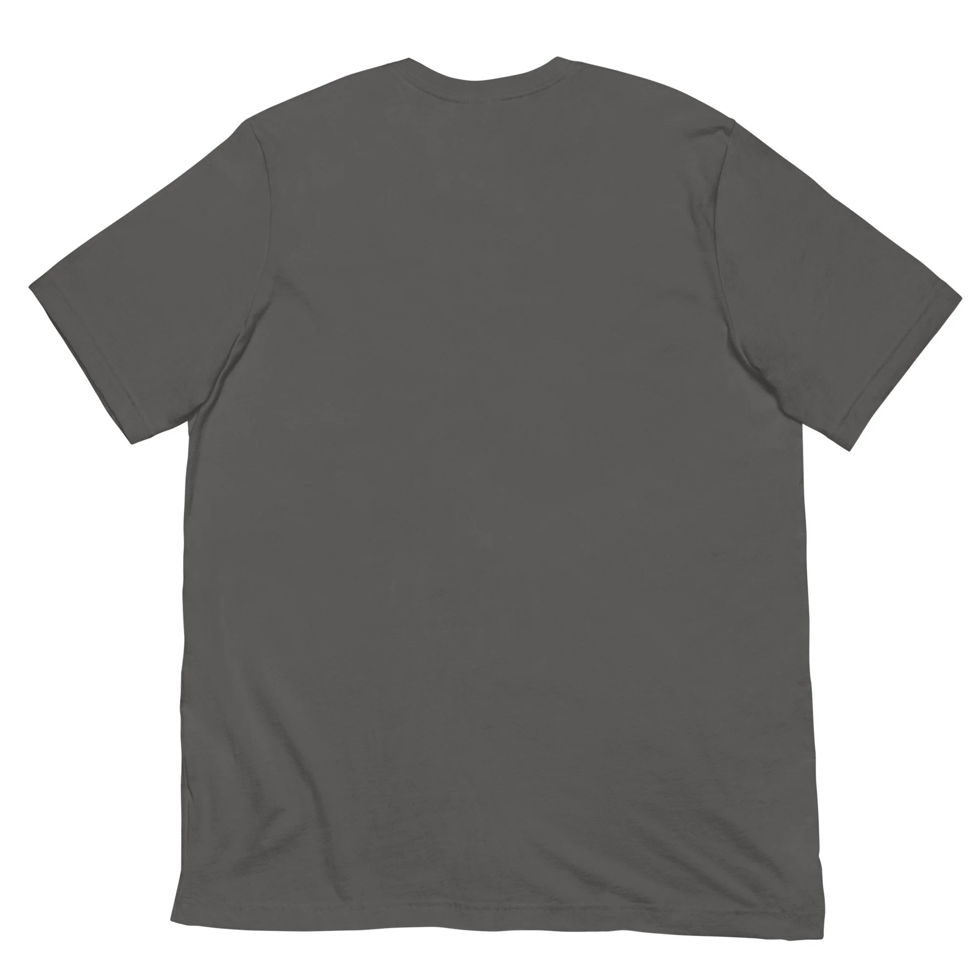 unisex-staple-t-shirt-asphalt-back-677ff8f62c28f.jpg