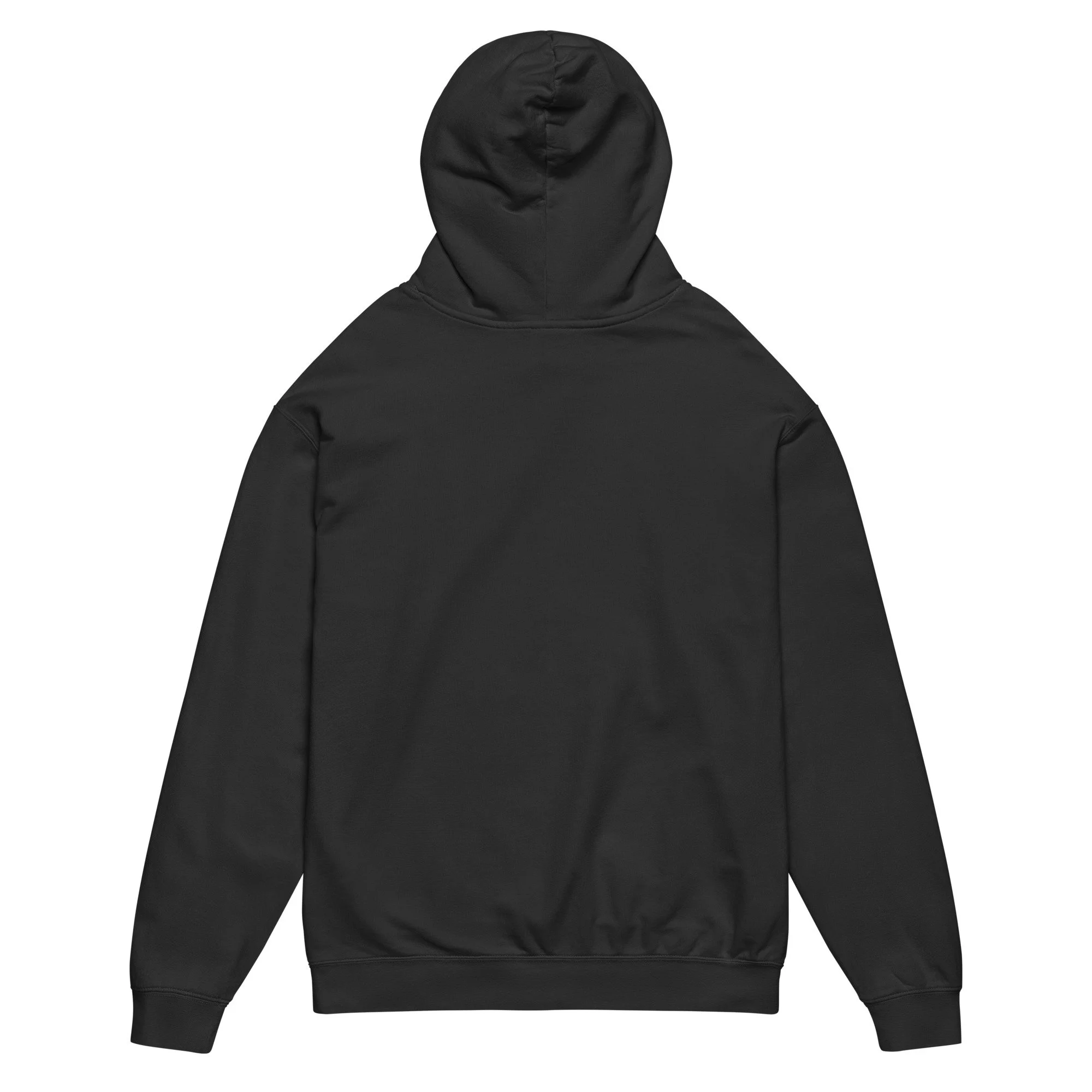 garment-dyed-lightweight-fleece-hooded-sweatshirt-i-comfort-colors-1467-black-back-695c778840017.jpg