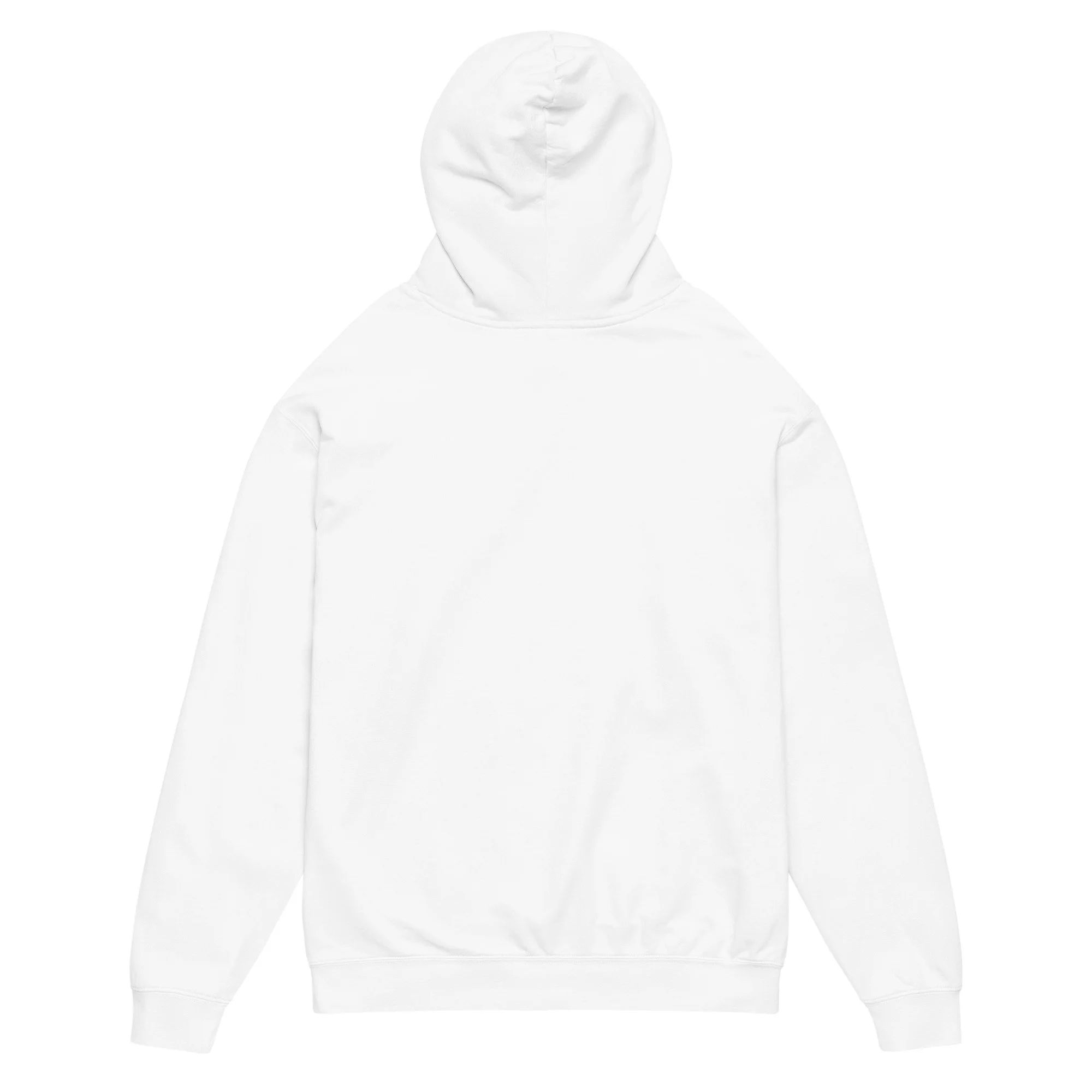 garment-dyed-lightweight-fleece-hooded-sweatshirt-i-comfort-colors-1467-white-back-695c77884cbef.jpg