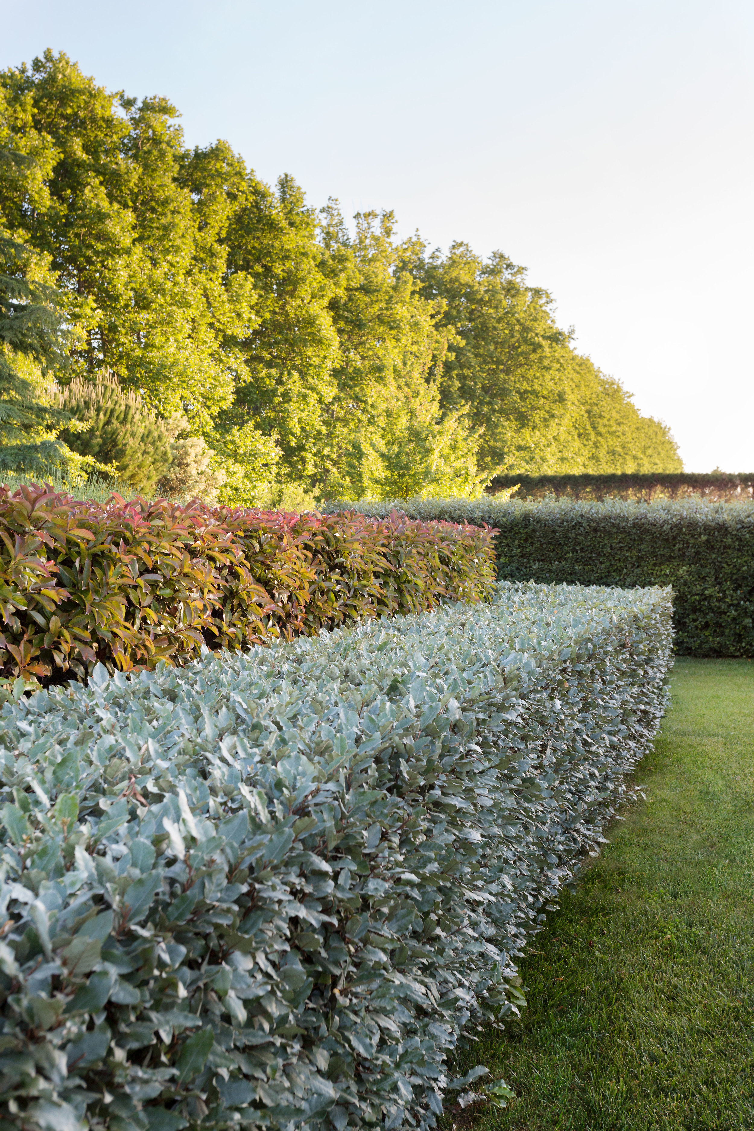 JARDIN3.jpg