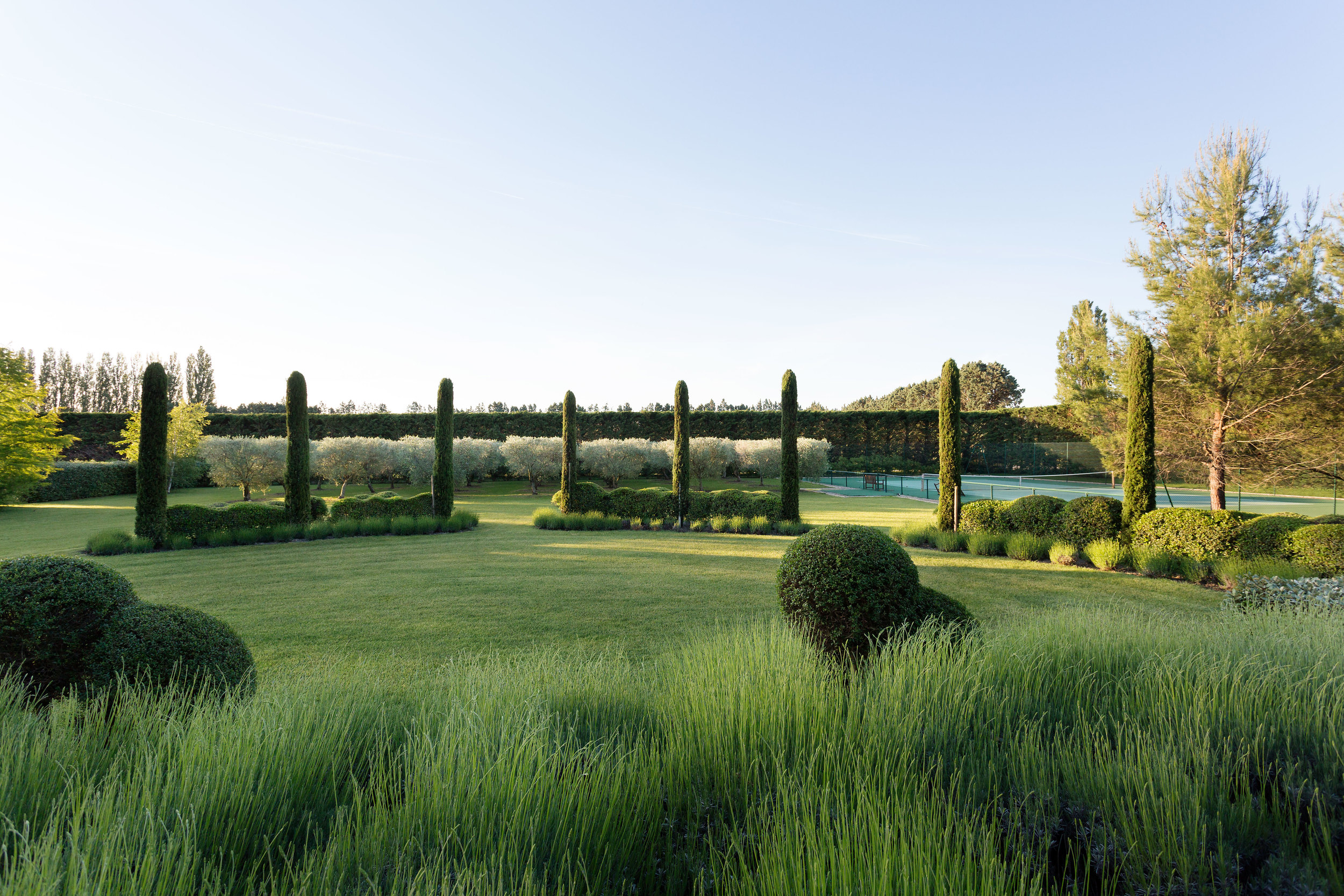 JARDIN4.jpg