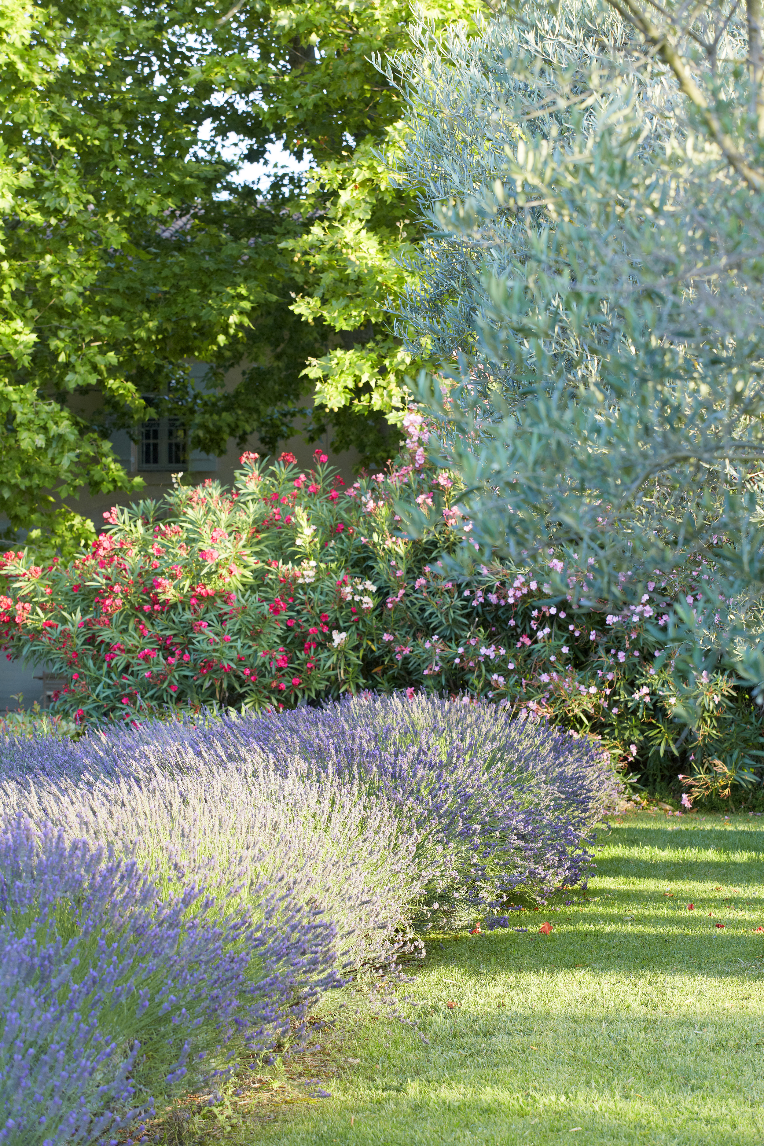 garden_colors_3.jpg