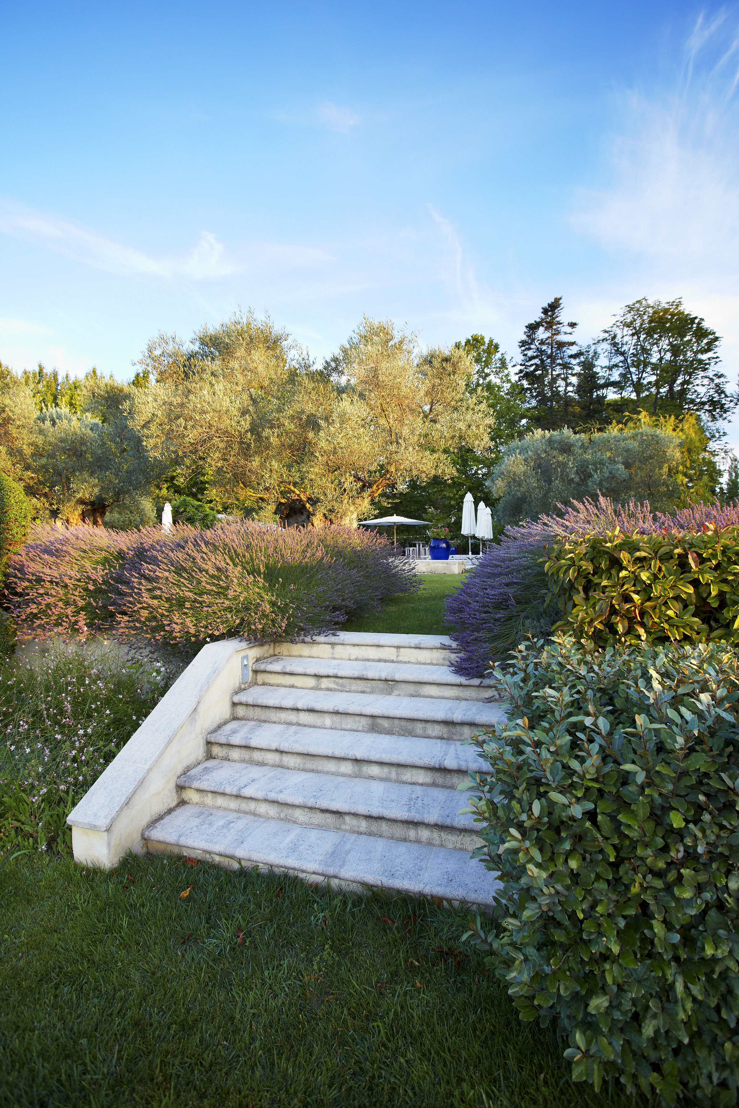 steps_garden.jpg