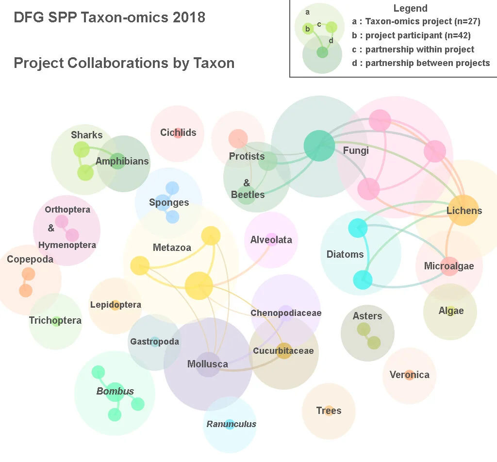 taxonomics_collab_people_subject_bubbles_same_sz_labs.jpg
