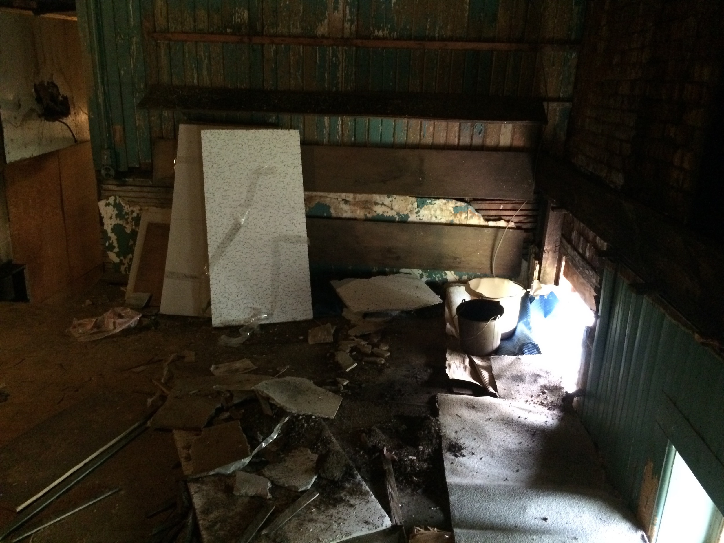 Me, "Omg... Not now." (Attic renovation starts tomorrow. Not too much for now, just usable/rentable storage space).