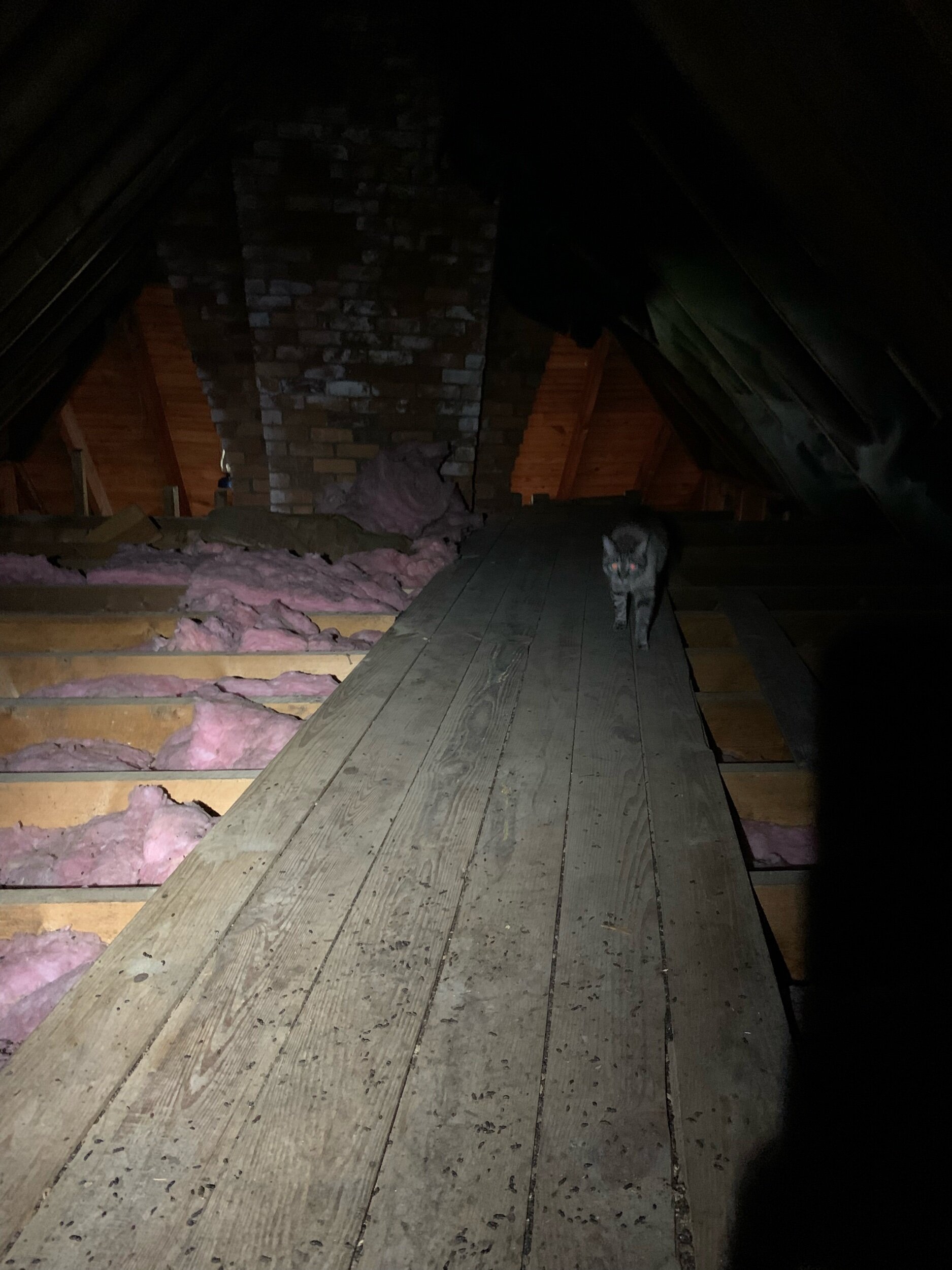 The Second Attic