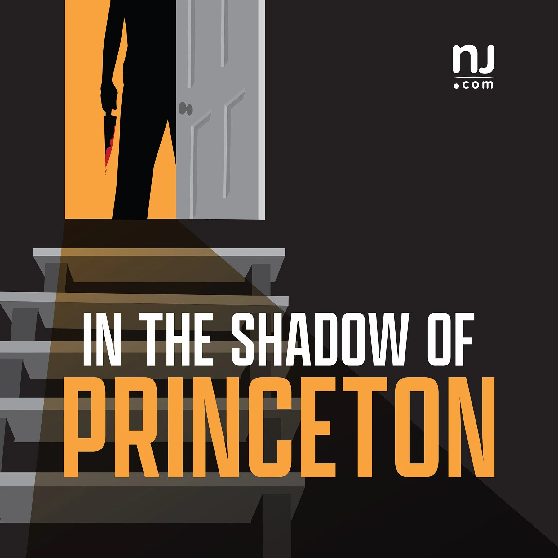 SHADOWPRINCETONNJ_JPG rgb.jpg