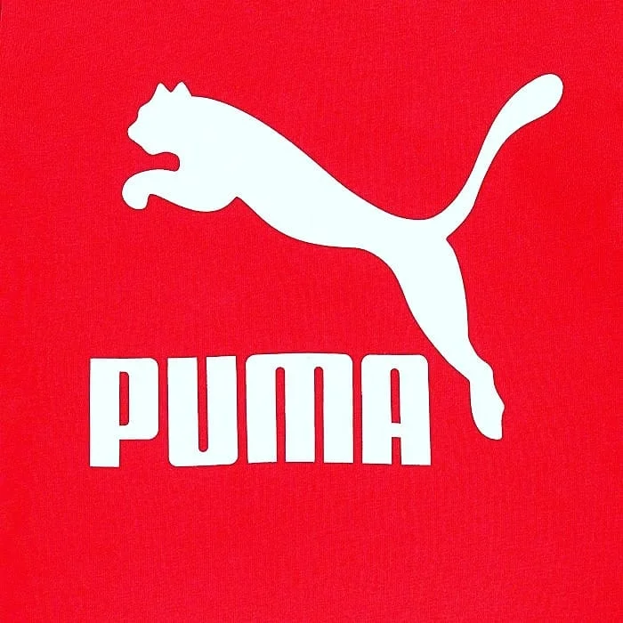 PUMA_Goalking.jpg