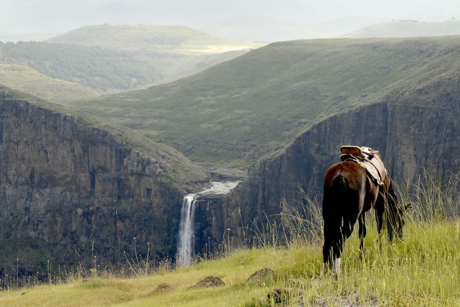 horse waterfall.jpg