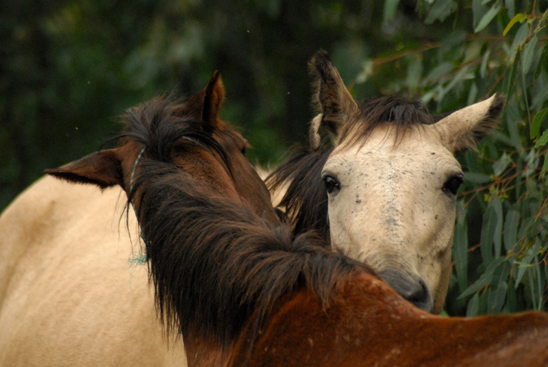 Tina and Autumn Wind
