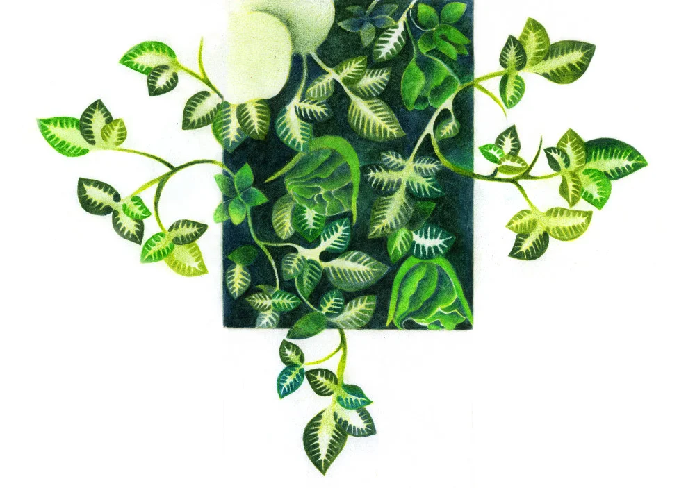 2009, Colored pencils (1).jpg