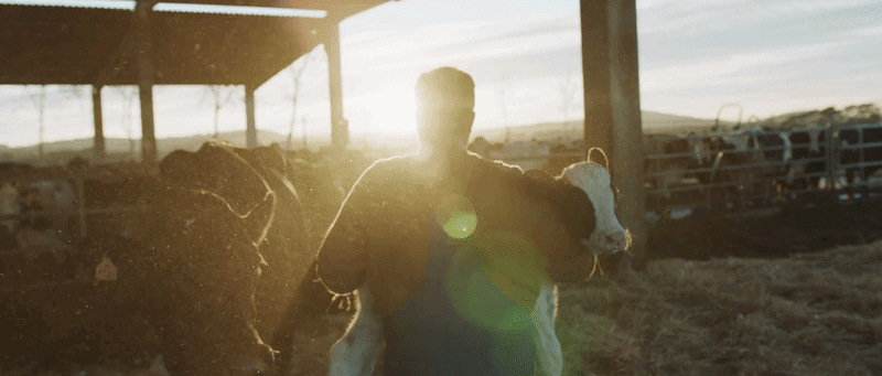  Danone - Granjas Familiares - 