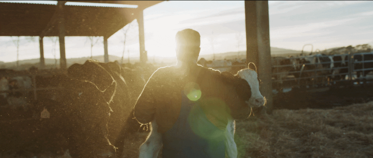  Danone - Granjas Familiares - 