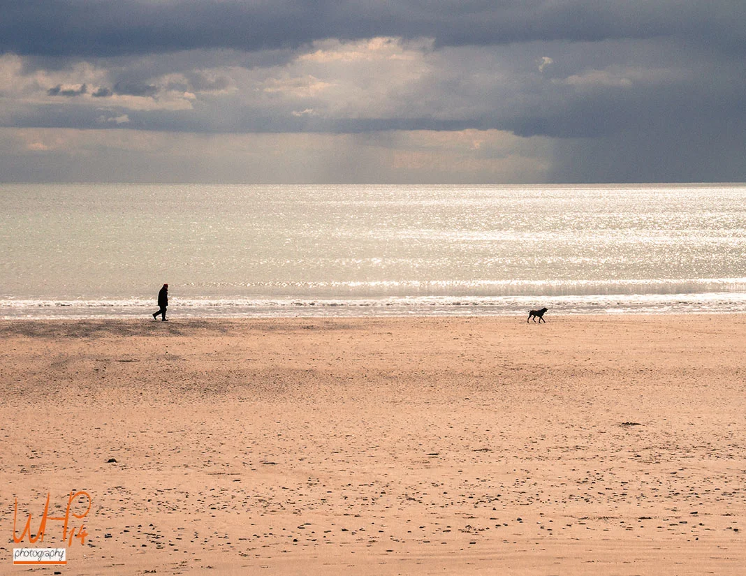 Walk The Dog