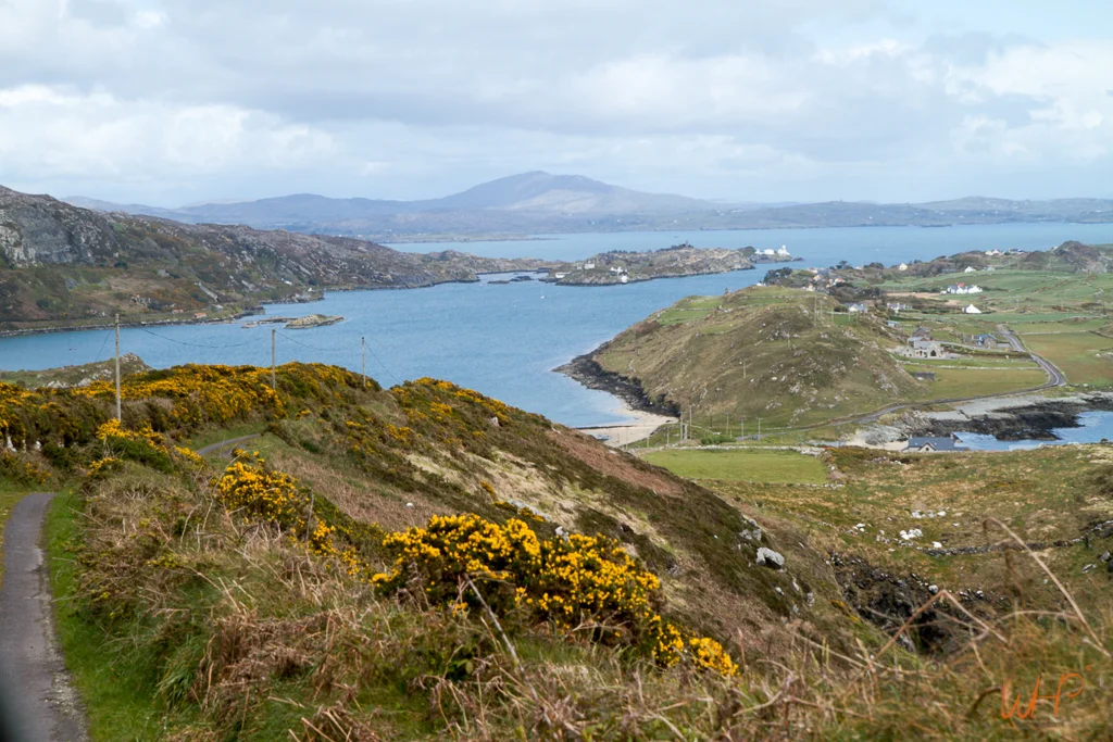 Will HarnettBSc Hons  LRPS - Irish Project 2014-3.jpg