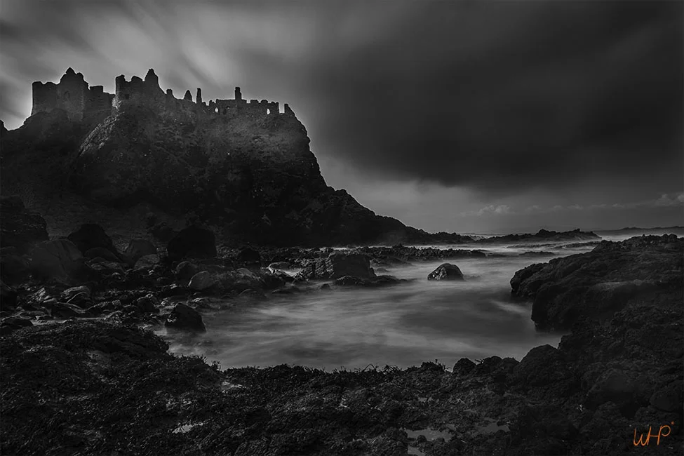 Spooky Dunlu