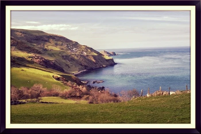 ncoast view whp 700px .jpg