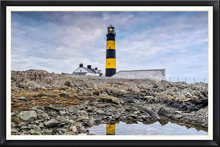 Bumble Bee (In The Mournes) USS1
