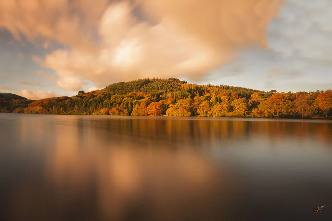 Fall Reflection - On My Doorstep - landscape -1058.jpg