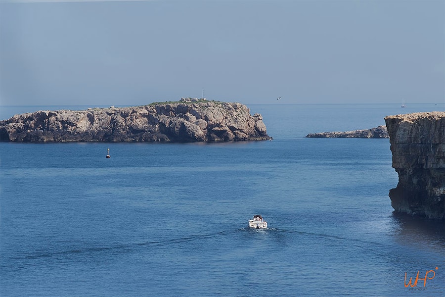 Speedboat Adventure