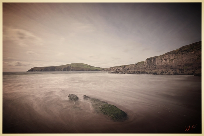 Crocodile Rock - (Wild Ireland Series) -700.jpg