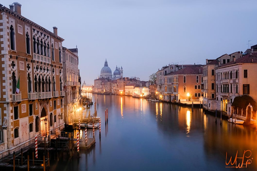 Venice at night (Belissimo Italia Series) x