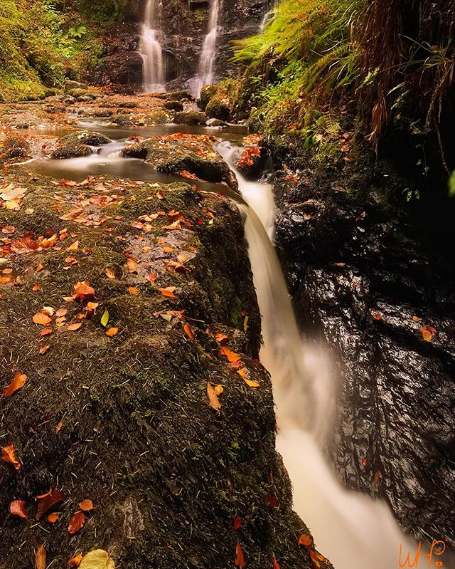 Glens On the Edge #glenariff #glenariffforestpark #longexposure #waterfall #2018 #autumn🍁 @picture_ireland @irishpassion #fall #fallflow #whp_18
