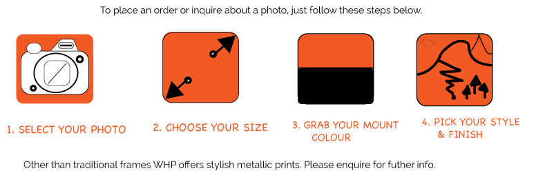 frame-guide-white.png