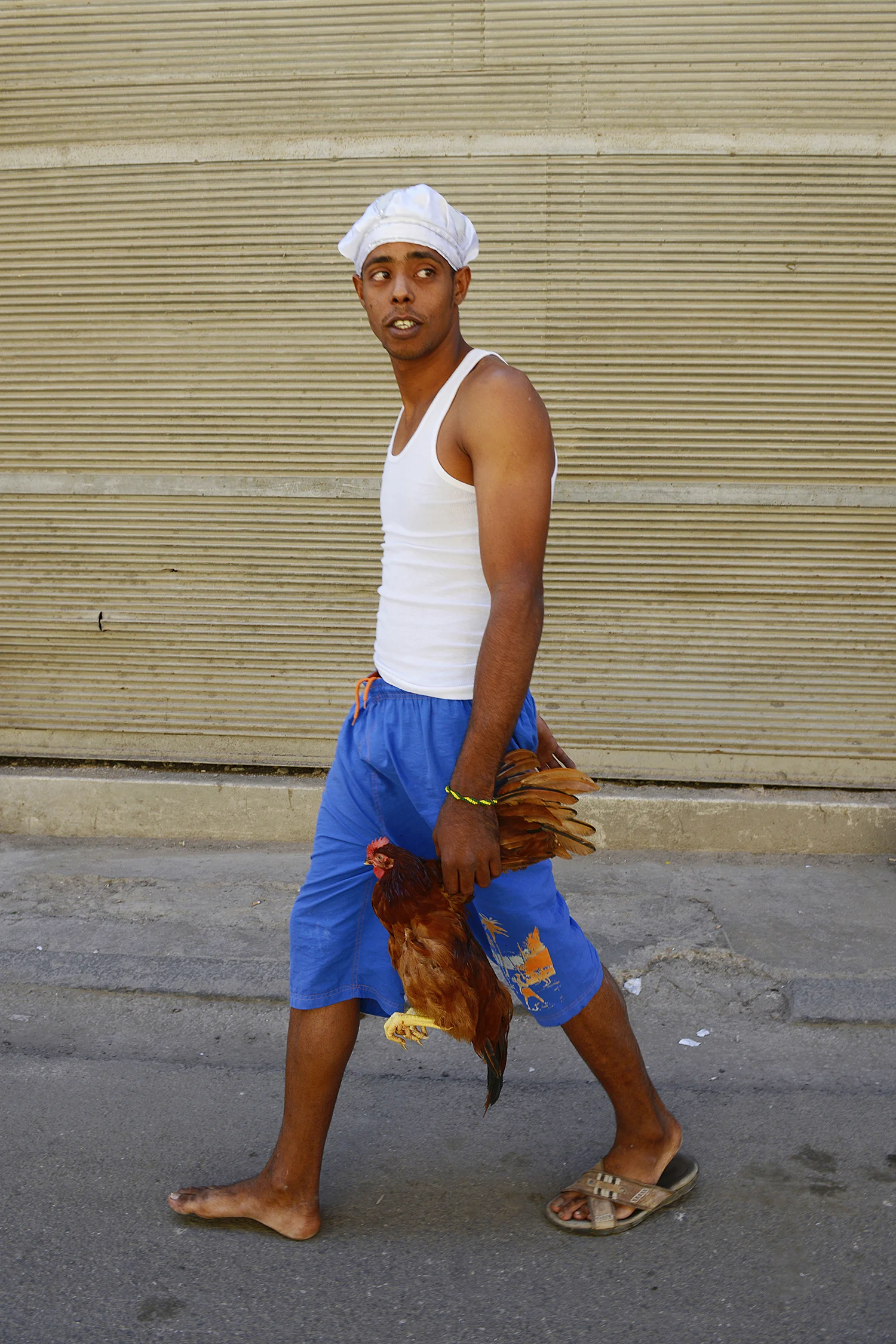 3_DSC9914edit.jpg