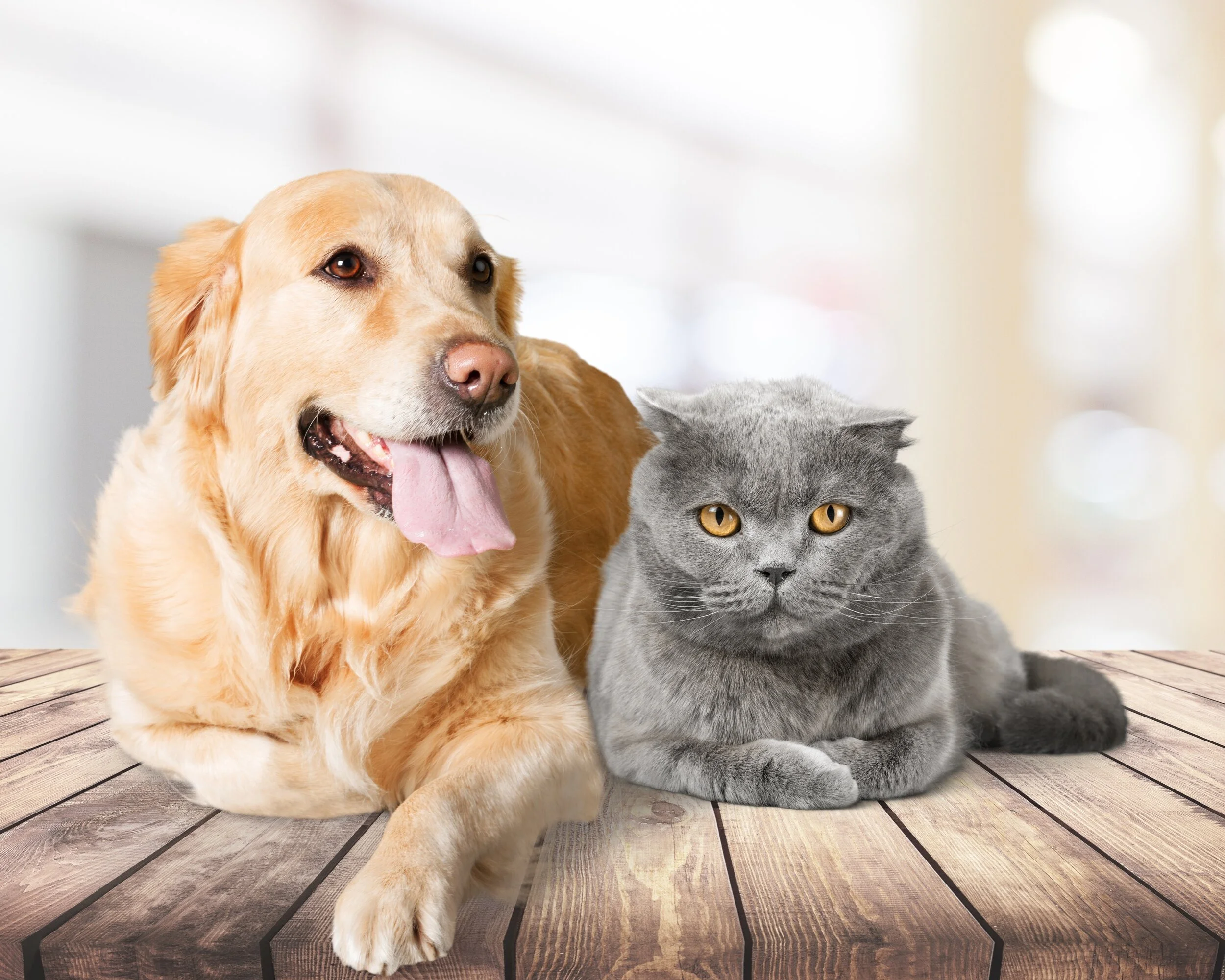 How to Get Along With Others