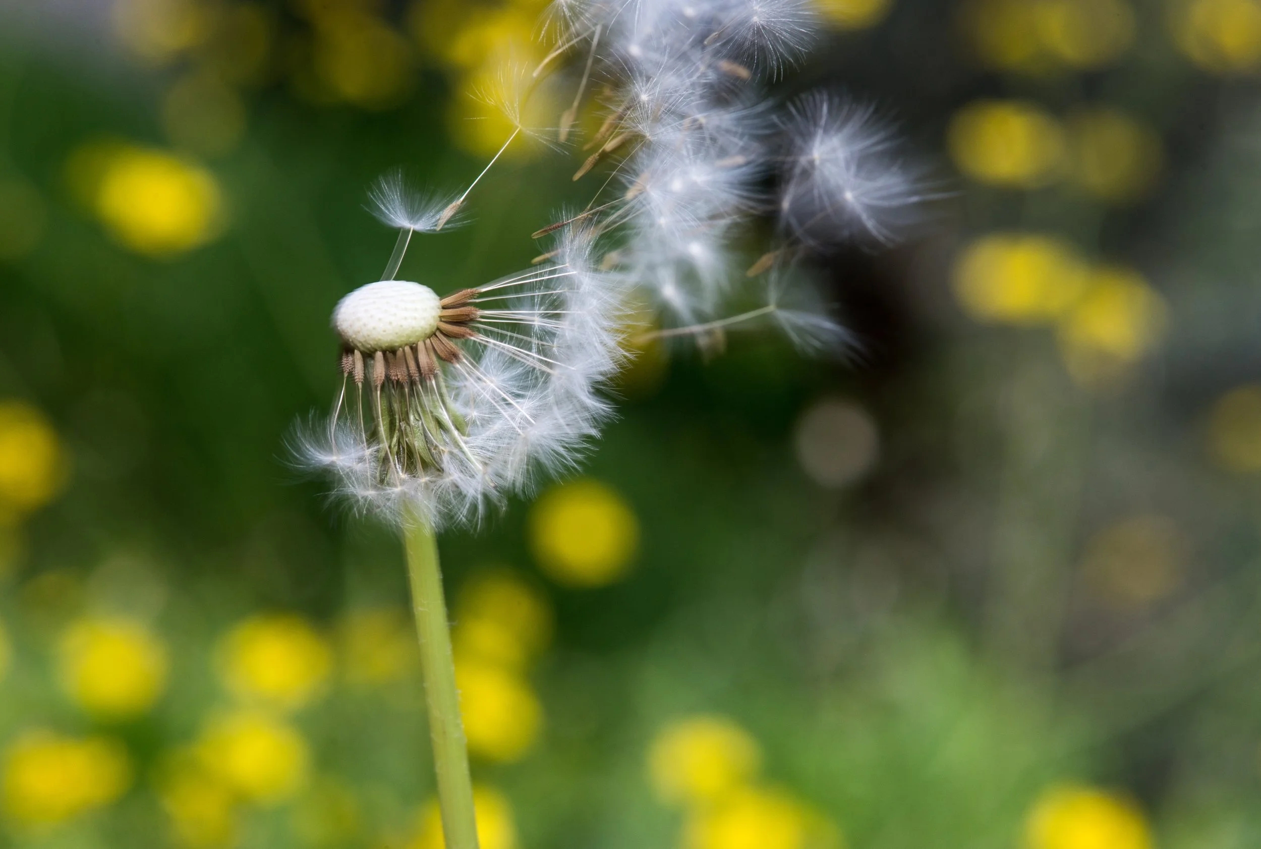 Make a HABIT of Enjoying the Moment