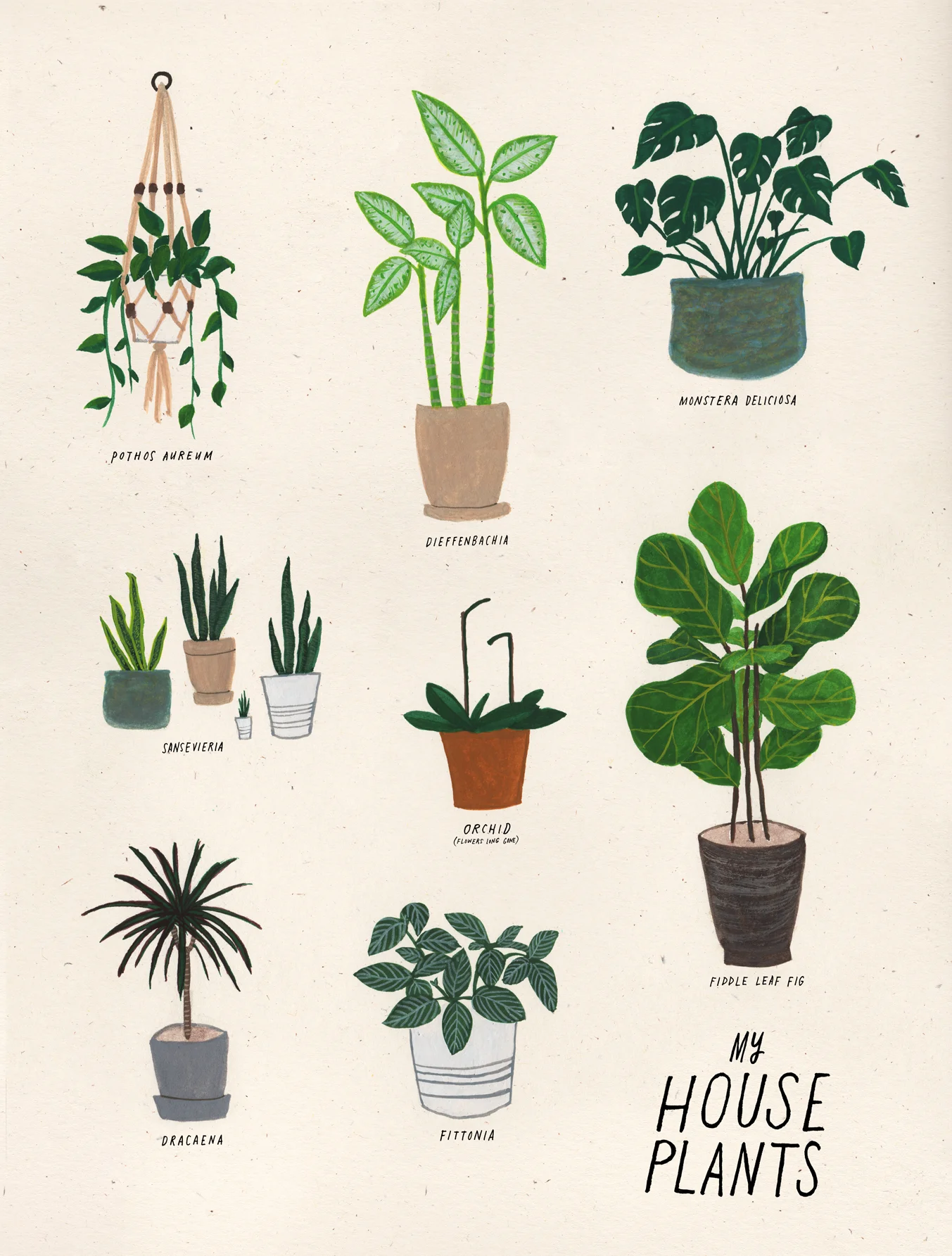 houseplants.jpg