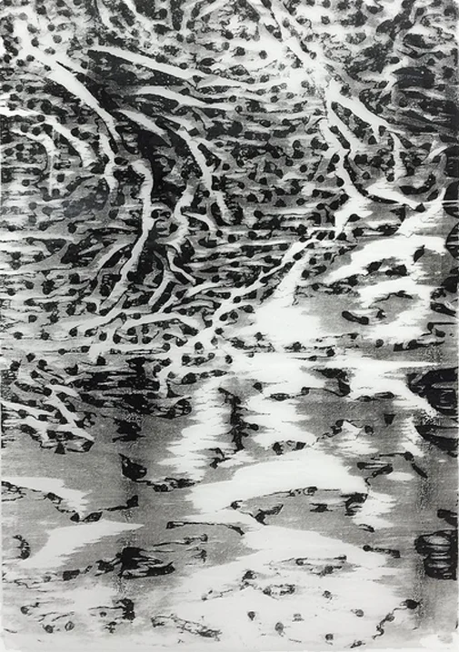 001a-2.jpg