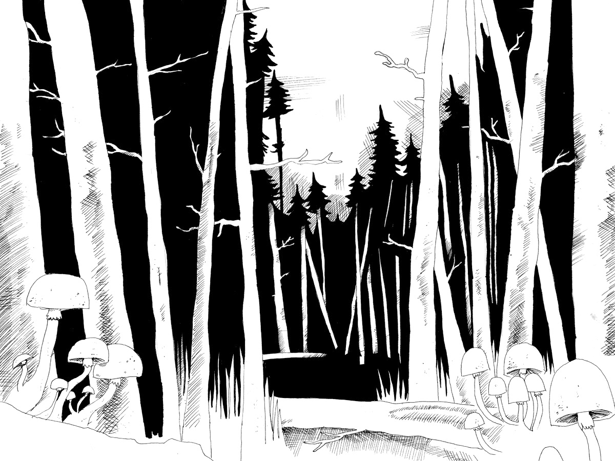 Scan-110110-0012.png
