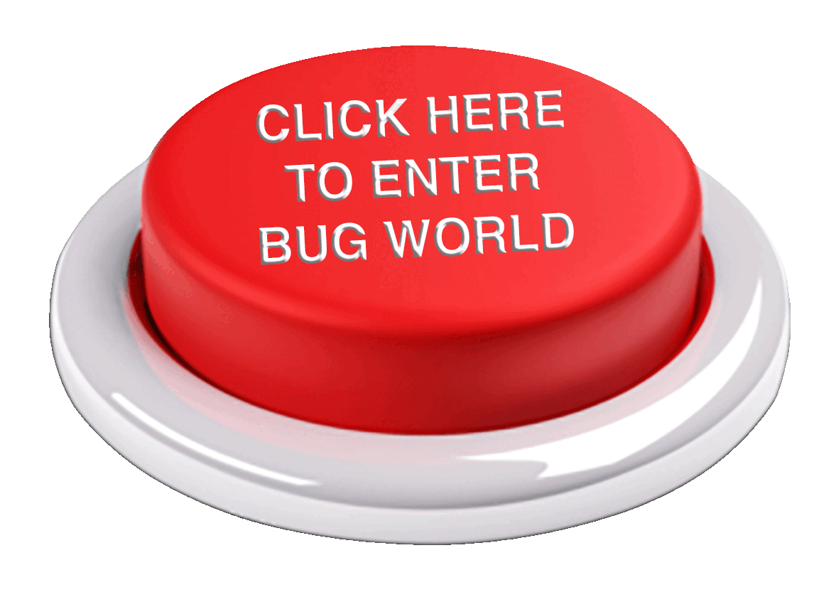 ezgif.com-animated-gif-maker (1).gif