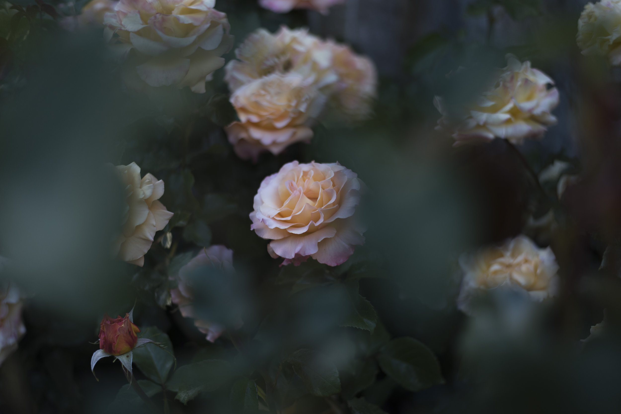 190527Propel Priary Music ComposersTobon.JPG