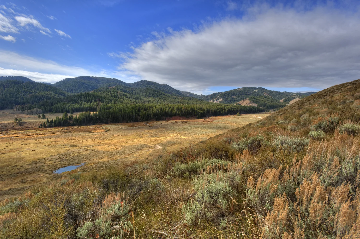 Contact — Idaho Coalition of Land Trusts