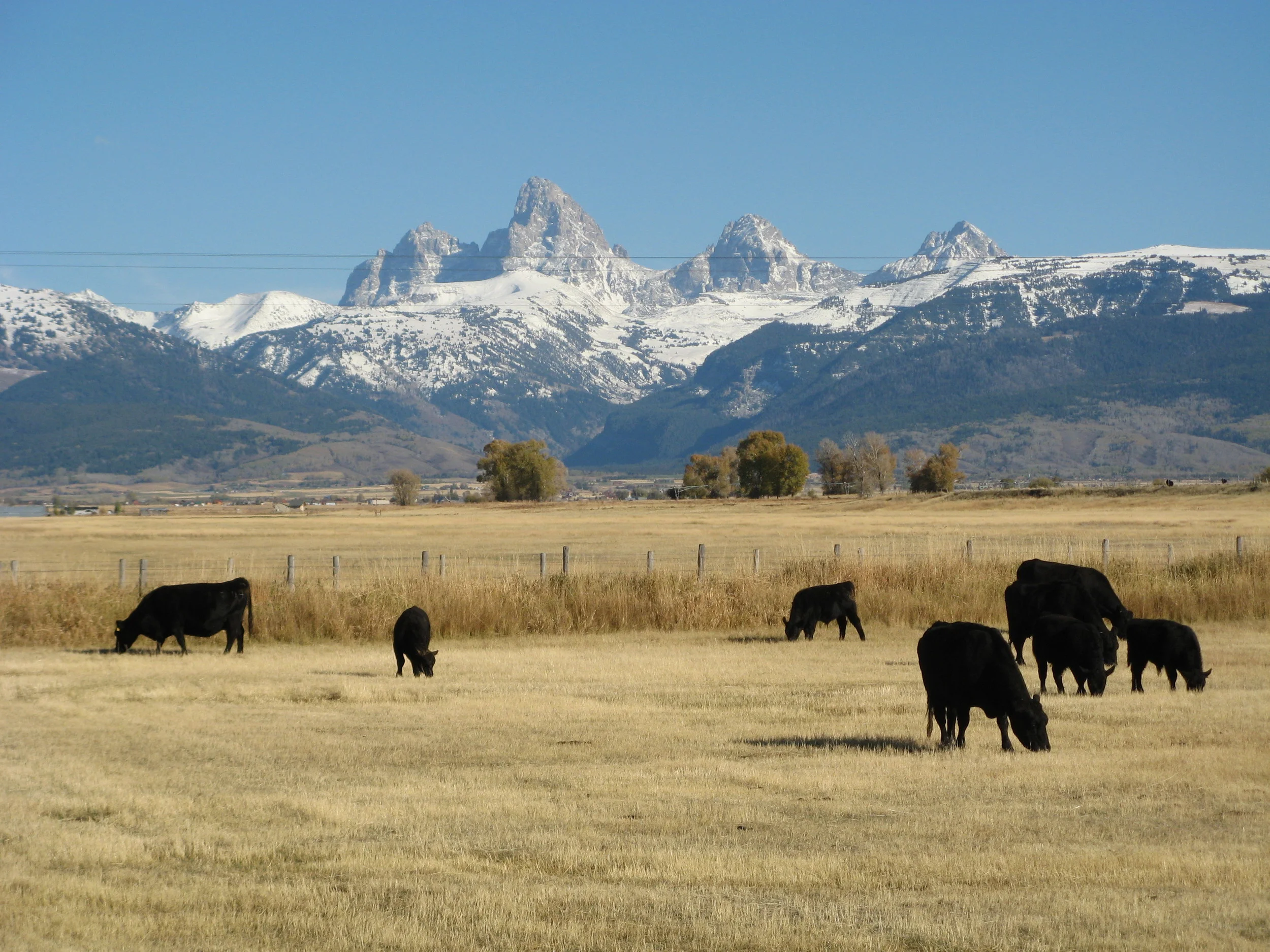 Teton Regional Land Trust Announces New Executive Director