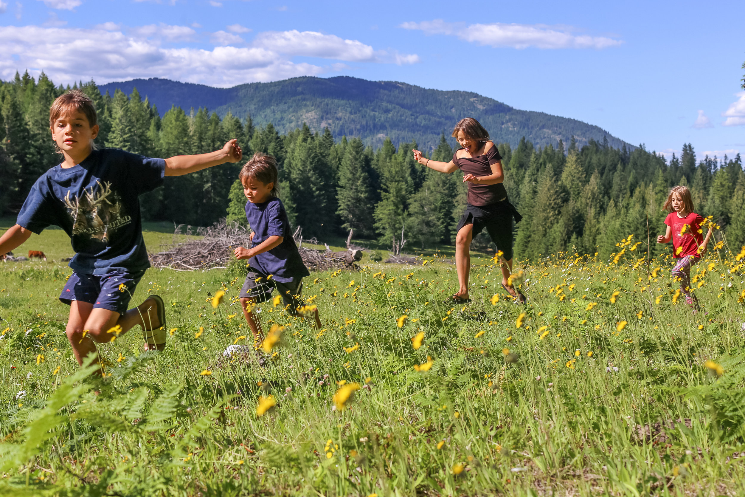 Connecting the next generation of conservation leaders to the landscape