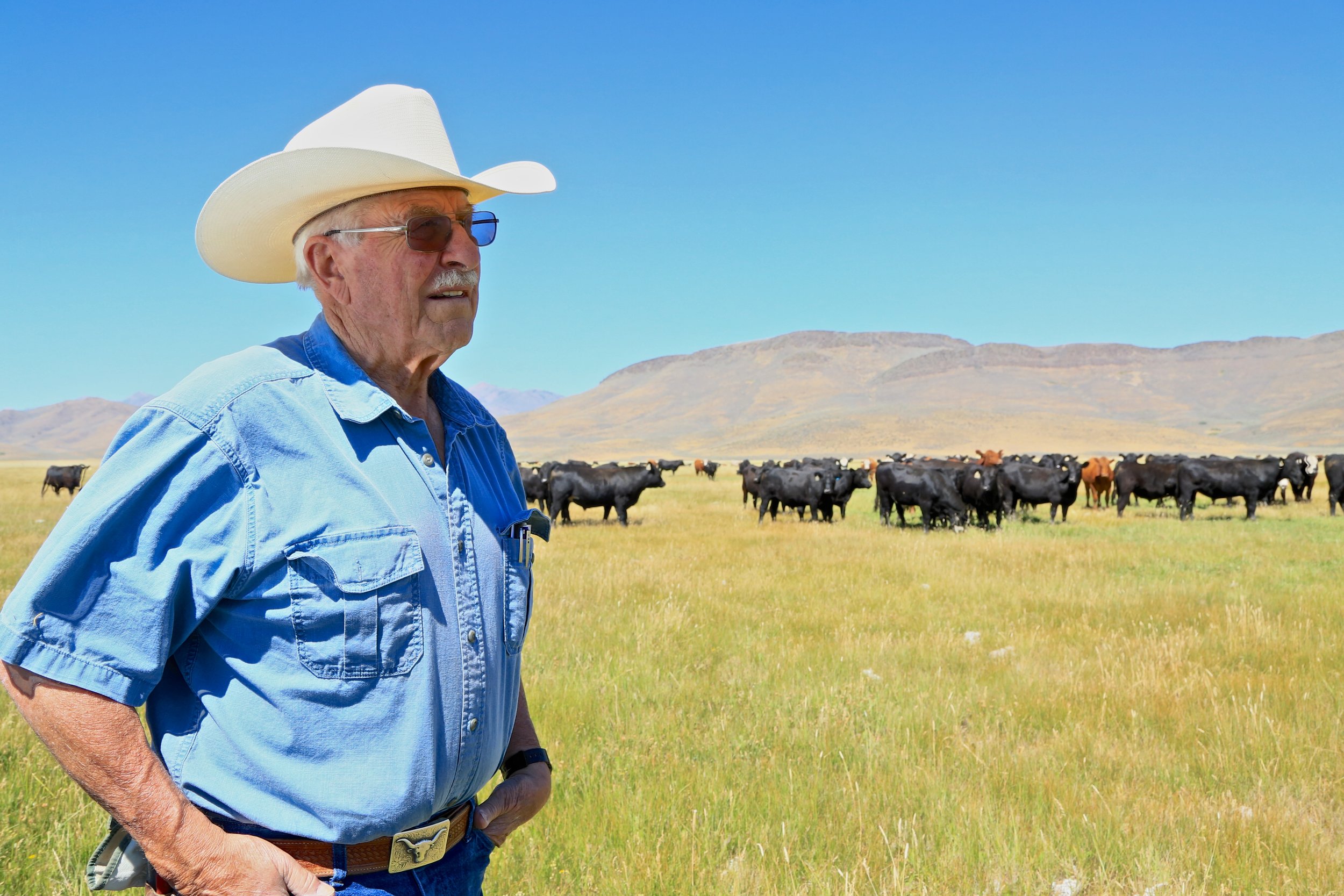Protecting working ranches and farms