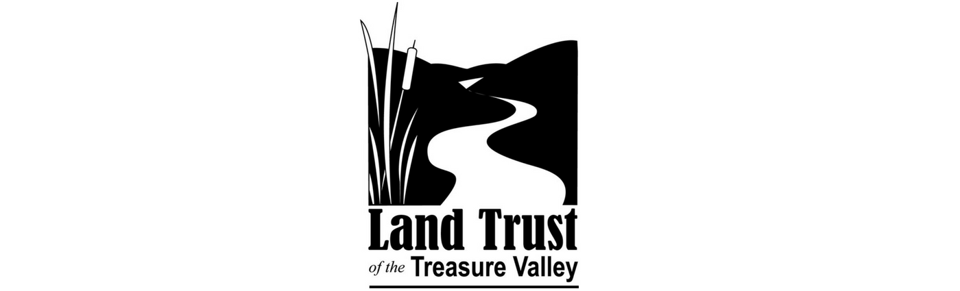 logo.png