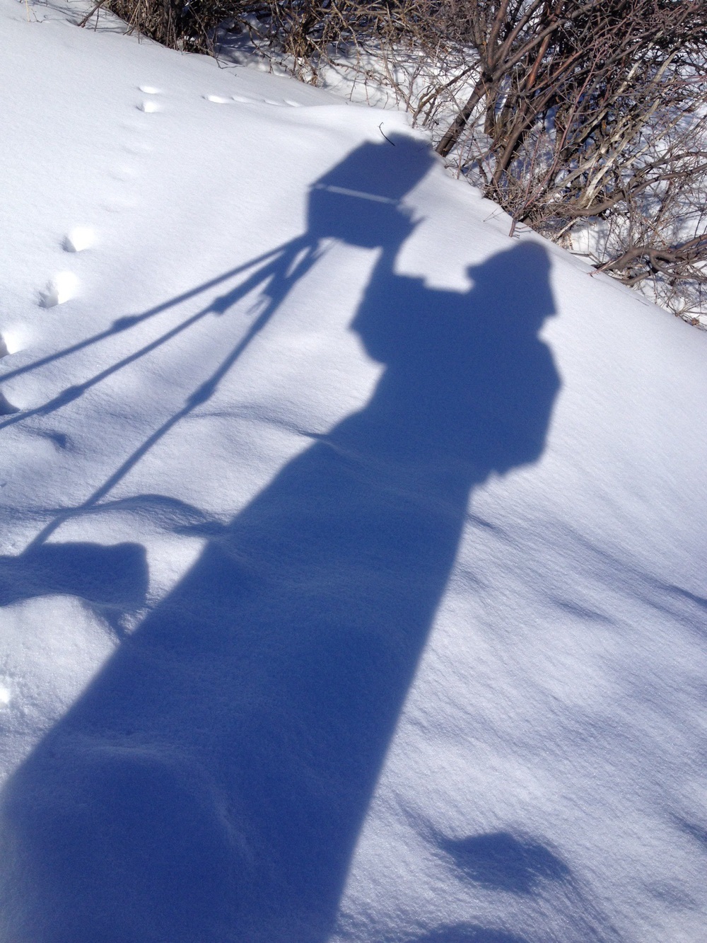 Painting in snow.
