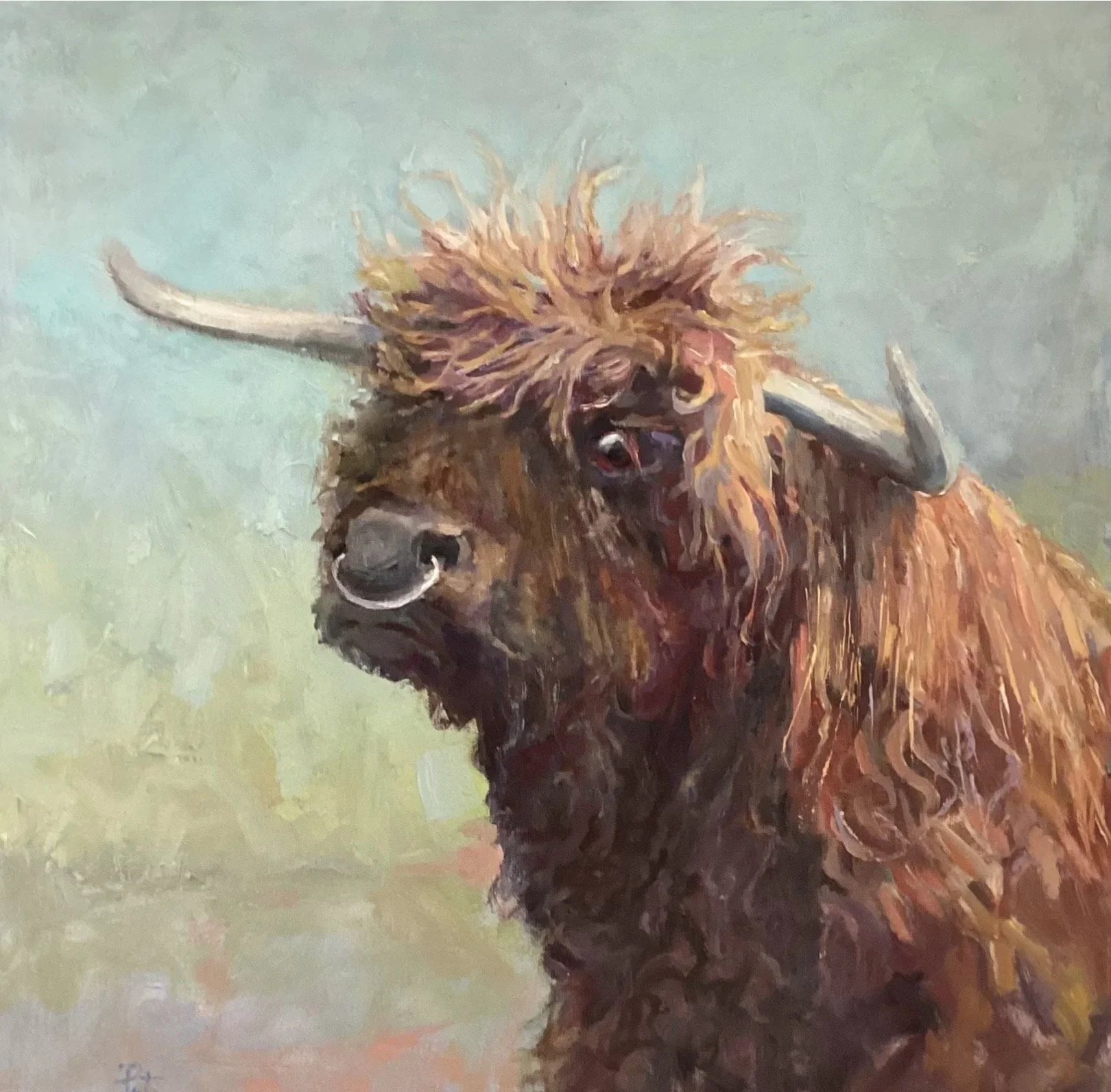 Highland lass 18x18; oil on canvas 