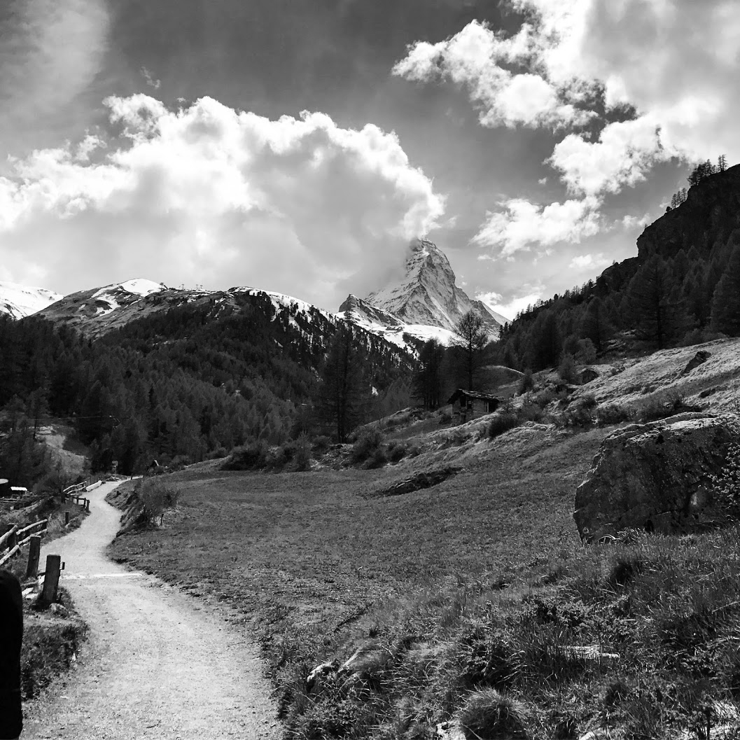 IMG_5522 copy.jpg